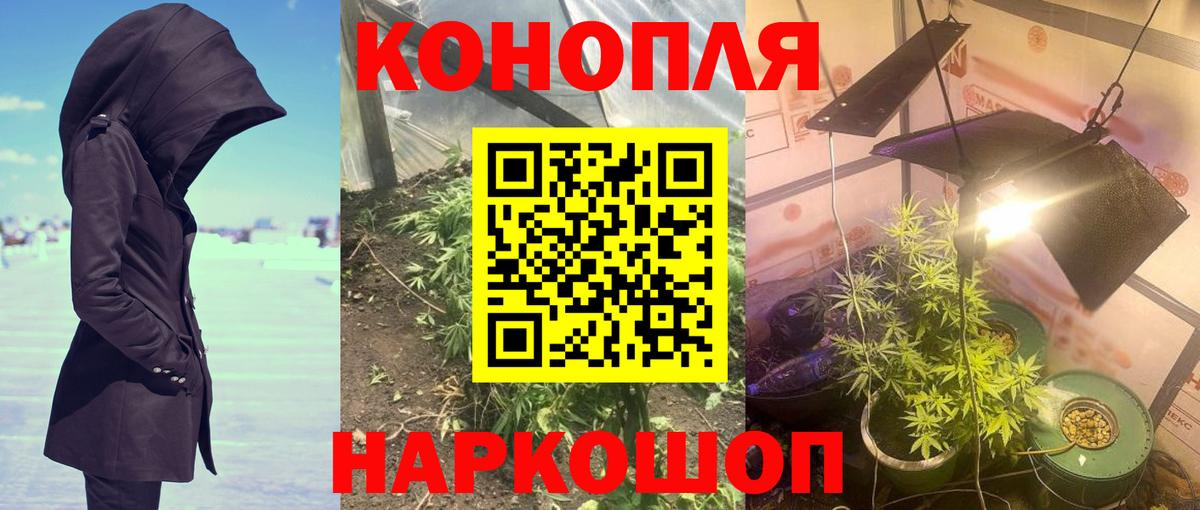 Каменск-Шахтинский  Марихуана гибрид  Бошки марихуана планчик  Канабис SATIVA & INDICA  Вход с VPN 